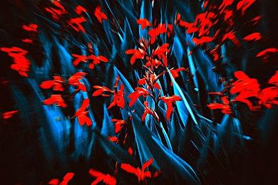 《枪匠模拟器》新DLC燧石与火药公开 黑火药时代